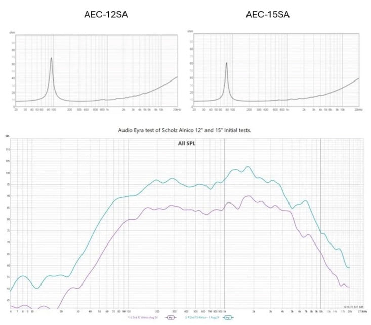 Scholz Sugarcone R-2/AEC-SA  12"&15" Alnico Speaker - Audio Eyra Exclusive