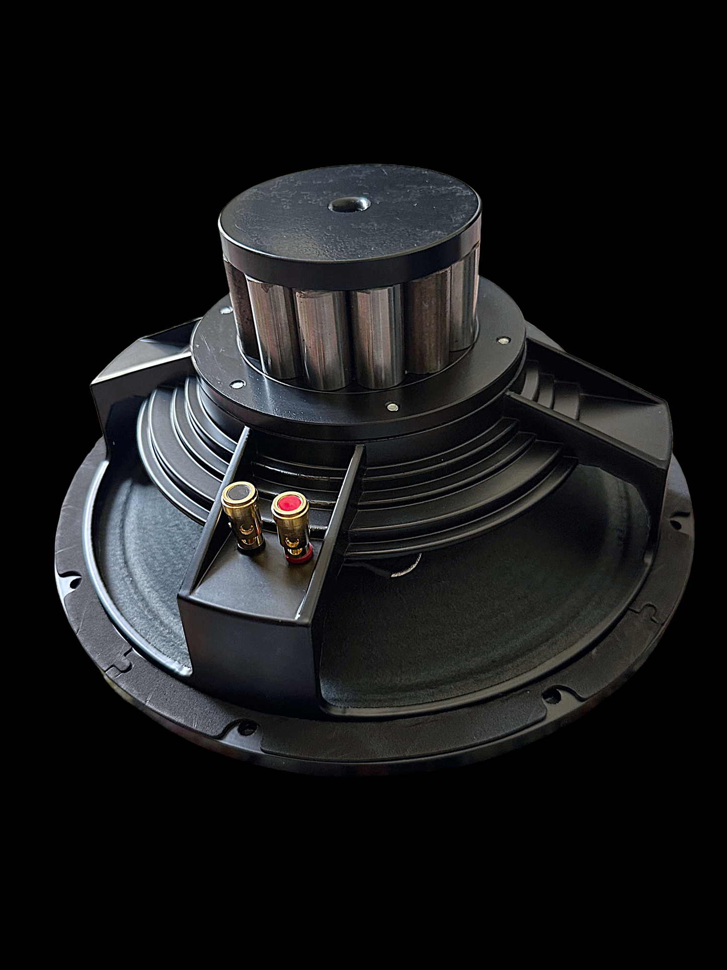 Scholz Sugarcone R-2/AEC-SA  12"&15" Alnico Speaker - Audio Eyra Exclusive