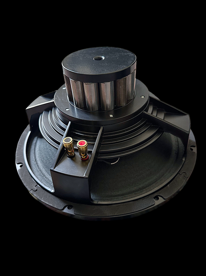 Scholz Sugarcone R-2/AEC-SA  12"&15" Alnico Speaker - Audio Eyra Exclusive