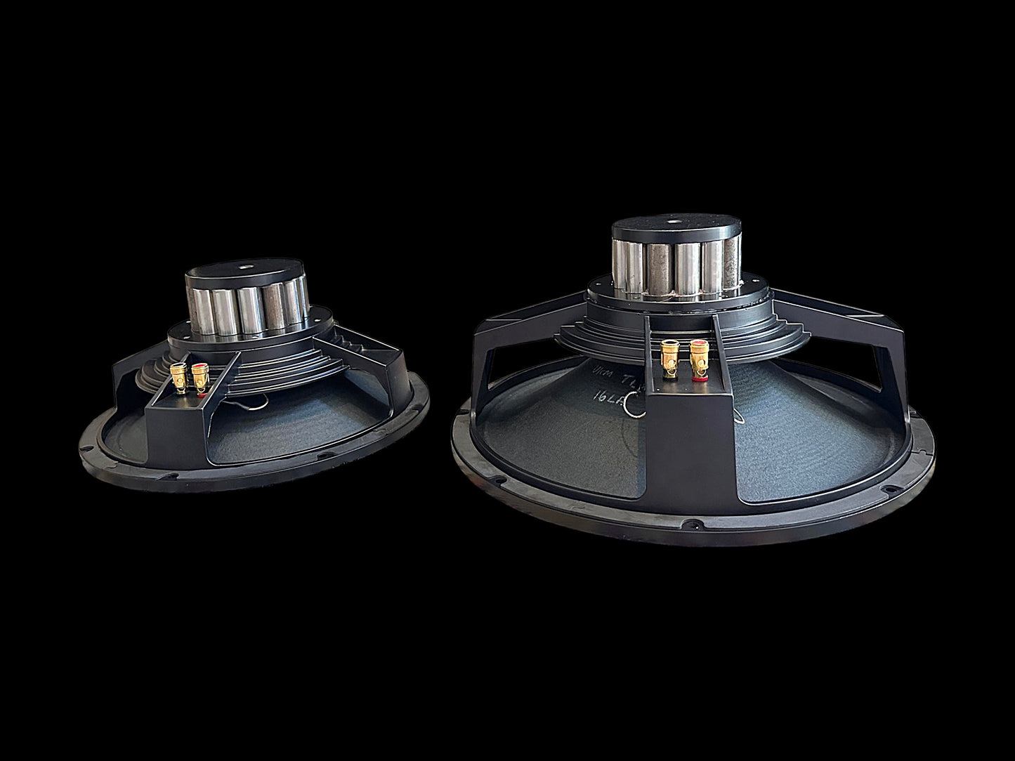 Scholz Sugarcone R-2/AEC-SA  12"&15" Alnico Speaker - Audio Eyra Exclusive