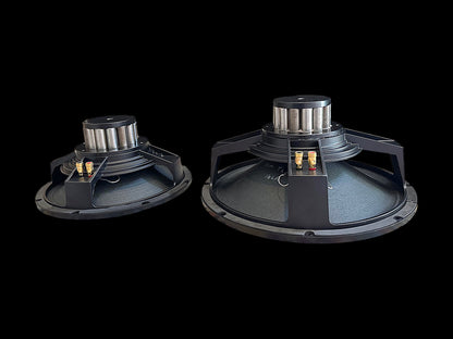 Scholz Sugarcone R-2/AEC-SA  12"&15" Alnico Speaker - Audio Eyra Exclusive