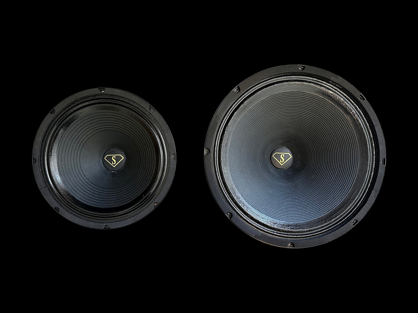 Scholz Sugarcone R-2/AEC-SA  12"&15" Alnico Speaker - Audio Eyra Exclusive